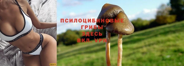 прущий лед Балахна