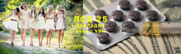 индика Приозерск