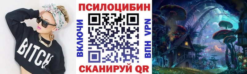 Галлюциногенные грибы GOLDEN TEACHER  купить закладку  ОМГ ОМГ маркетплейс  Павловский Посад 