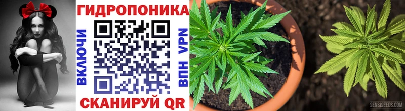 купить наркотики сайты  Павловский Посад  blacksprut рабочий сайт  Шишки марихуана LSD WEED 